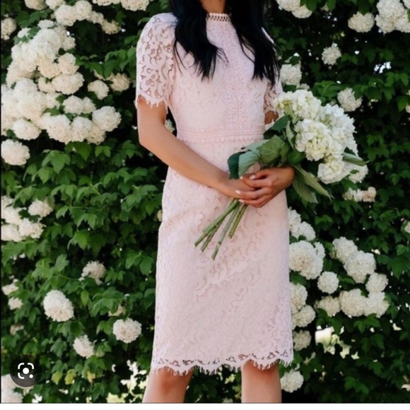 Rachel Parcell midi lace dress - Picture 2 of 8